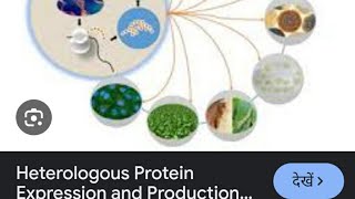 AIIMSampNEET BIOLOGY ampCSIRNET LIFESCIENCESheterologous gene expression [upl. by Ellinej]