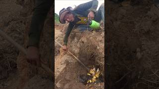 Metal Detector vs Map for the Best Finds Treasure metaldetecting shortsvideo [upl. by Sivrahc934]