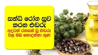 අදටත් රහසක් වූ එඬරු වල ඔබ නොදන්නා ගුණ  Health And Beauty Benefits Of Castor Oil [upl. by Awahsoj909]