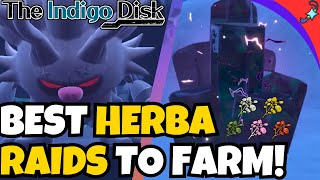 BEST Herba Mystica RAIDS in Pokemon Indigo Disk [upl. by Buell]