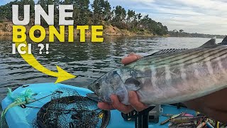 Que FAIT cette BONITE ici  Pêche du bar en Bretagne  pêche kayak paddle  bonite [upl. by Aretta]