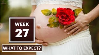 27 Weeks Pregnant  What to Expect [upl. by Latsyek]