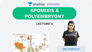 Phoenix 20 Biology Most Important Video for NEET 2025  Udaan [upl. by Medlin]