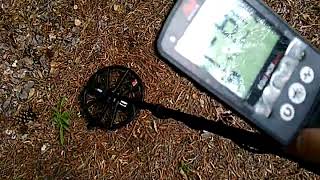 Minelab Equinox 800 [upl. by Melvin]