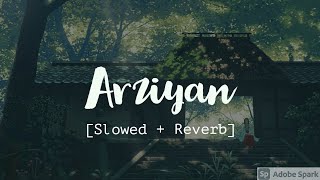 Arziyan Slowed  Reverb  Full song  Javed Ali and Kailash Kher  Delhi 6 [upl. by Yerffeg]