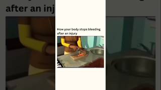 How to Wound Healing Stop Bleeding [upl. by Akela790]