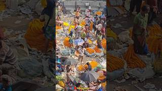 Mullick Ghat Flower Market । Kolkata Flower Market 🌹🌺 Market । Short Flower Market video [upl. by Lotus]