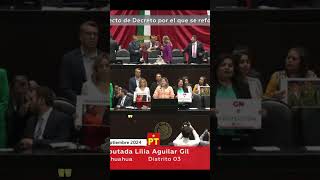 Diputada del PT destroza los argumentos del PRIAN [upl. by Ardeahp]