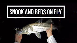 Night Time Snook and Redfish on Fly [upl. by Malvia]