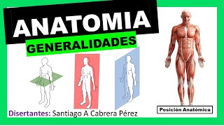 ▌ANATOMÍA ▌INTRODUCCIÓN Y GENERALIDADES Posición Anatómica  Planimetria ▌💀 [upl. by Tatianna]