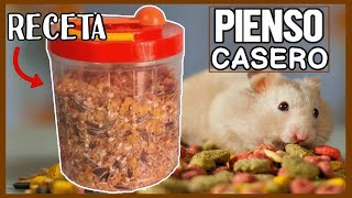 PIENSO CASERO para HAMSTER 🐹 COMIDA para HAMSTERS [upl. by Garald]