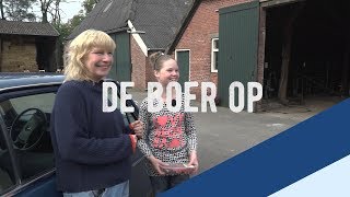 De Boer Op Blaarkopkoeien Afl 2 [upl. by Ahsiat512]