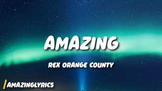 Rex Orange County  AMAZING Lyrics [upl. by Nassir]