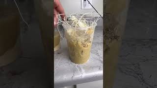 How To Breed Flightless Fruit Flies youtubeshort fruitflies fyp [upl. by Jared220]