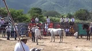 escenas chuscas de la feria de patambo [upl. by Leber]