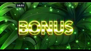 Amazons Diamonds slot  Free Spins Round  Novomatic [upl. by Leelahk]