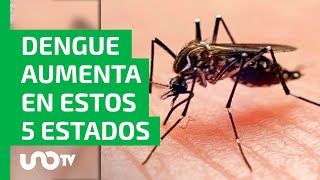 Los casos de dengue siguen aumentando en México ve estados con más incidencia [upl. by Ysdnil]