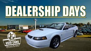 Dealership Days  Rabbits Used Cars [upl. by Mike]