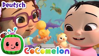 Das Zahlenlied mit Kueken  CoComelon  JJs Animal Time Deutsch  Cartoons und Kinderlieder [upl. by Matrona]