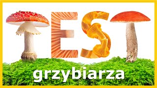 Test Grzybiarza  Ile z tych Grzybów Znasz Szybki Quiz [upl. by Orlena]