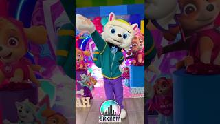 PAW PATROL  Patrulla canina 🐶🚨 pawpatrol musicainfantil cancionesinfantiles shorts [upl. by Kay881]