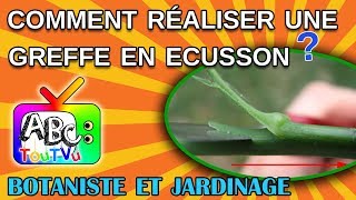 Comment realiser une greffe en ecusson [upl. by Radnaxela]