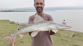 fishing mangladamfishing catching fish mangla dam ka Shikar منگلا ڈیم میں ھم نے شکار کیا [upl. by Lehsreh]