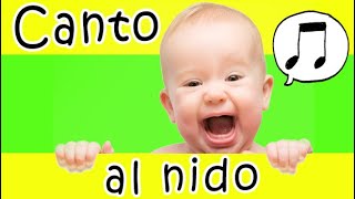 🎤Cantare al Nido👶  quattro canzoni per bambini  fare musica a scuola [upl. by Sager]