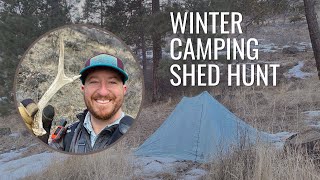 WINTER CAMPING SHED HUNTING  Mule Deer Washington [upl. by Olram340]