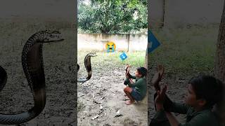 😭 Sap Marlo  সাপ মারলো 😱 🪱 🕊️ snake attack birds kabootar help viralvideo shorts [upl. by Yobybab]