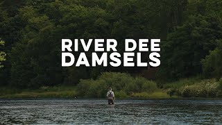 Fly fishing in Scotland with the River Dee Damsels [upl. by Namreg]