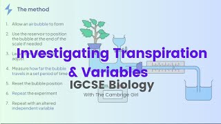 Investigating Rate of Transpiration amp VariablesIndependent Dependent amp Control IGCSE Biology [upl. by Ahsemik]