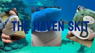 The Haven skit ocean [upl. by Gregorius]