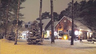 Snowy White Christmas Night Lights and Cozy Homes in Forest Toronto  4K Relaxing Snow Falling video [upl. by Bashuk319]