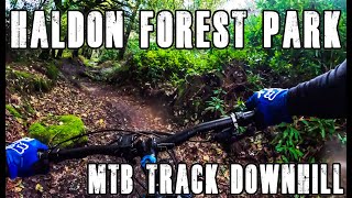 HALDON FOREST PARK  MTB DOWNHILL  Exeter DEVON UK  enricotakeoffphotography [upl. by Standish]