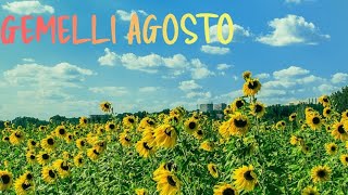 🍀☀️GEMELLI AGOSTO DAI IL TUTTO PER TUTTO☀️🍀tarocchi oroscopo cartomante [upl. by Darken]