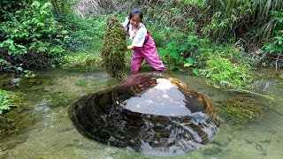 The beautiful woman walked through the culvert and unexpectedly discovered a large river clam [upl. by Adniram]