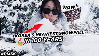 A DAY IN MY LIFE  RECORD BREAKING SNOWFALL IN SOUTH KOREA  pmsk [upl. by Yrevi]