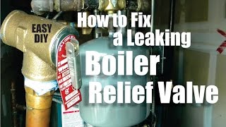 How to Repair a Leaking Boiler Relief Valve Easy DIY [upl. by Aurelius]