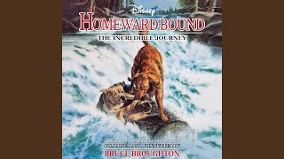 Homeward Bound Revised [upl. by Brothers]