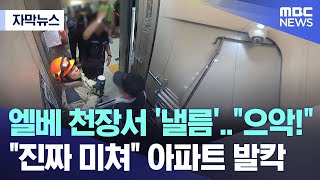 자막뉴스 엘베 천장서 낼름quot으악quot quot진짜 미쳐quot 아파트 발칵 20240617MBC뉴스 [upl. by Cairns]