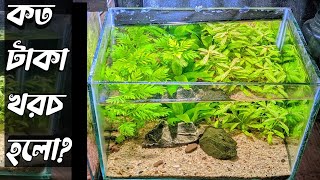 আমার প্লান্টেড একুরিয়াম🥰 my planted aquarium Bangla planted aquarium aquarium guppy fish viral [upl. by Sailesh]