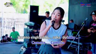 🎼 CAMELIA KARAOKE CEWEK [upl. by Madid963]