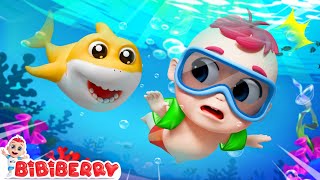 Baby Shark  Safety Song For Kids  Bibiberry Nursery Rhymes amp Kids Songs [upl. by Jc]