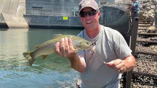 quotStairways to Trout Heavenquot  Catching Trout on the Caney Fork [upl. by Hillie]