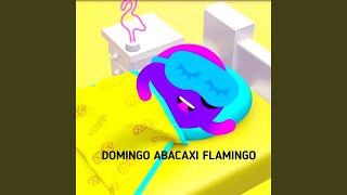 Domingo Abacaxi Flamingo [upl. by Novahs]