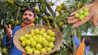 आँवले के अचार को इस तरीके से बनाएगें तो पाँच सालो तक भी खराब नहीं होगा  Gooseberry Pickle  Amla [upl. by Kcirednek]