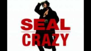 Seal  Crazy 2003 Bini amp Martini Meditation Remix [upl. by Akeemat473]