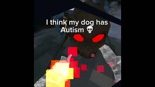 I think my dog has autism 💀 gtag vr jmancurly [upl. by Amsirak]