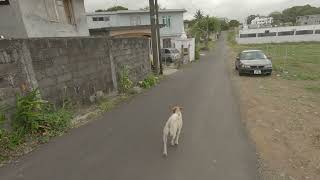 Village Plaine Magnien Mauritius [upl. by Chuck]